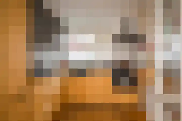 Nabbert 6 Leusden thumbnail 9