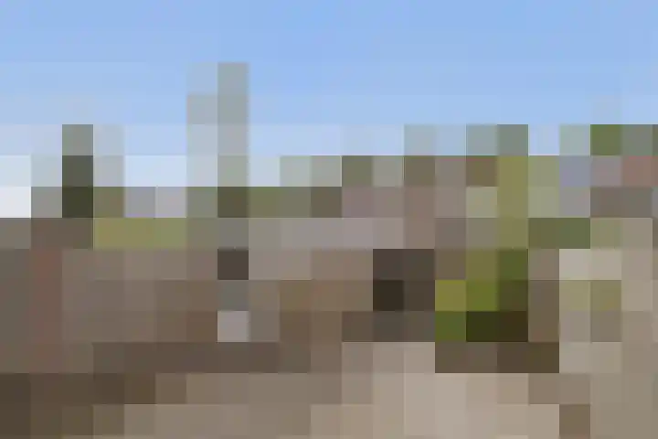 Naberpad 10 Eindhoven thumbnail 24
