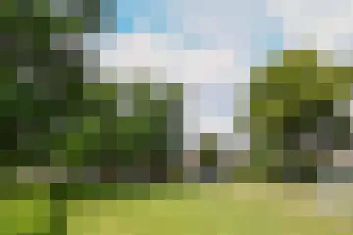 Naberpad 10 Eindhoven thumbnail 27