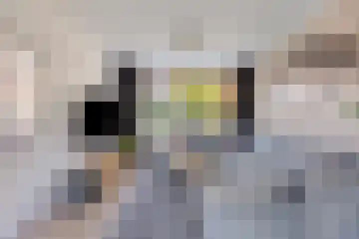 Naberpad 4 Eindhoven thumbnail 11