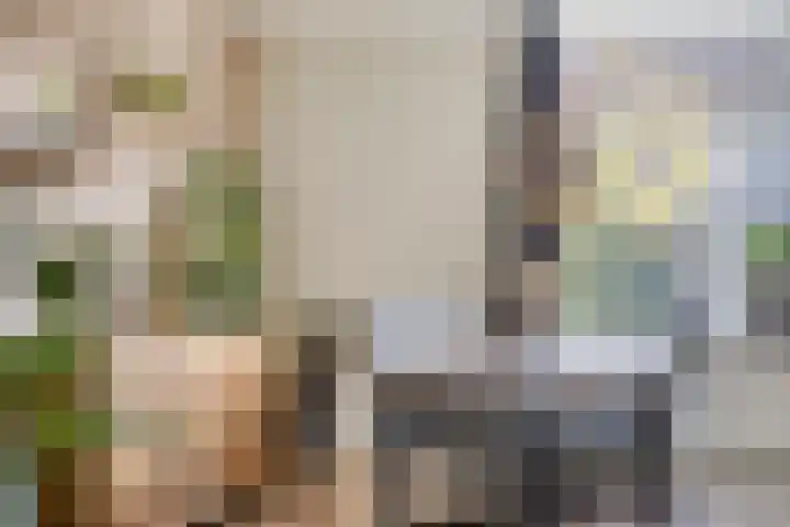 Naberpad 4 Eindhoven thumbnail 22