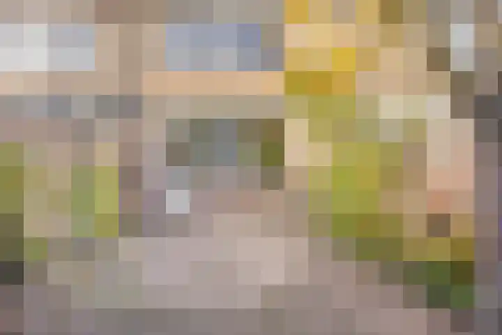 Naberpad 4 Eindhoven thumbnail 48