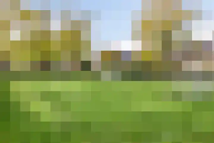 Naberpad 4 Eindhoven thumbnail 49