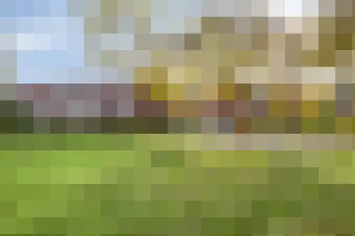 Naberpad 4 Eindhoven thumbnail 50