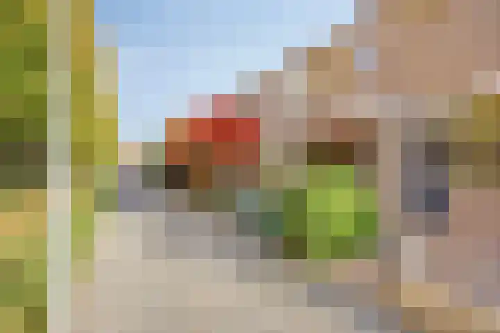 Naberpad 4 Eindhoven thumbnail 6