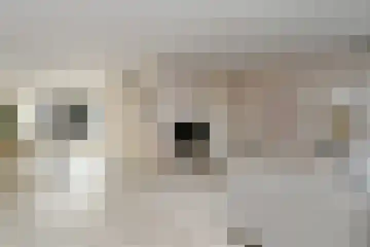 Nabucco 2 Eindhoven thumbnail 10