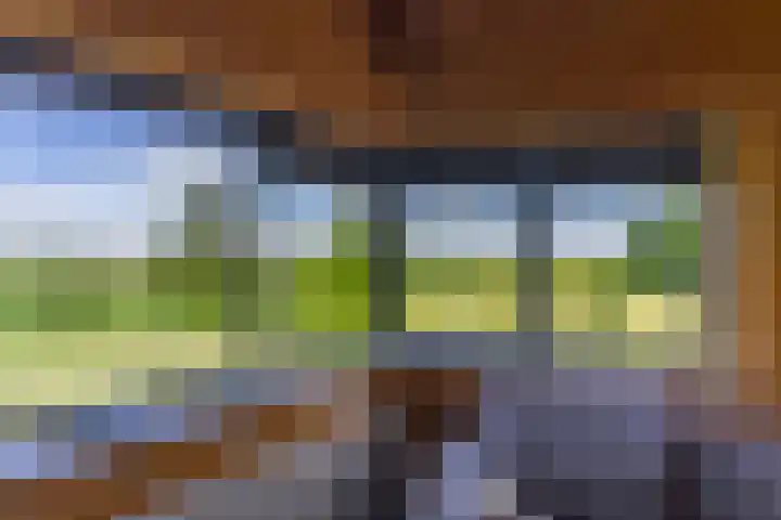 Nachtdijk 1 c Cothen thumbnail 14