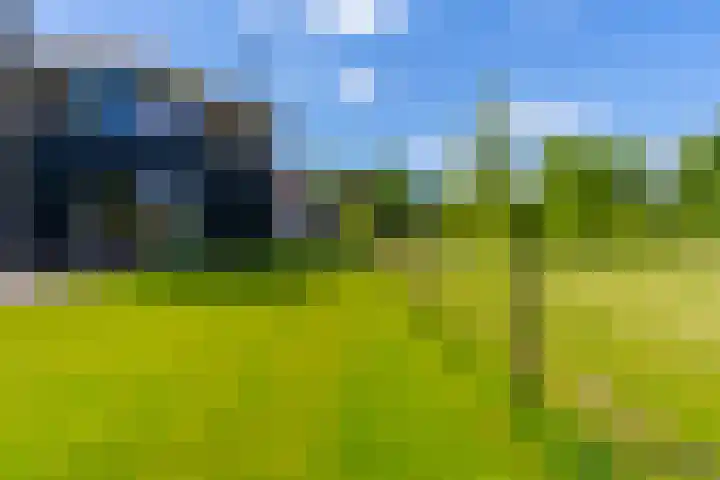 Nachtdijk 1 c Cothen thumbnail 19