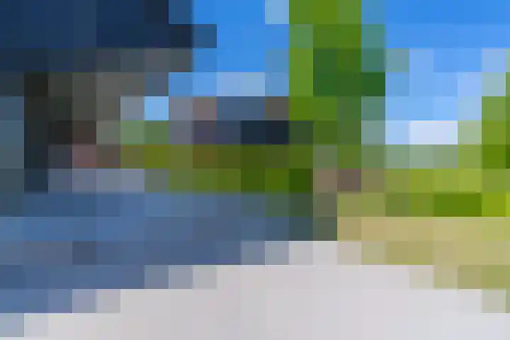 Nachtdijk 1 c Cothen thumbnail 6