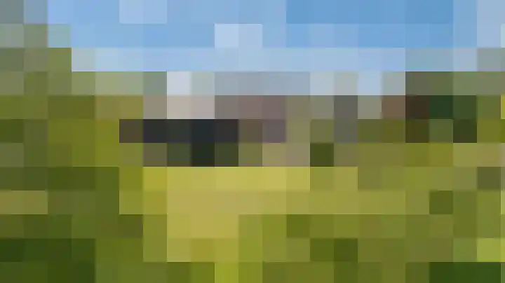 Nachtdijk 1 c Cothen thumbnail 7