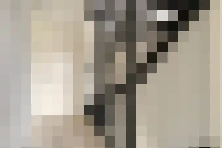 Nachtegaal 27 Bladel thumbnail 15