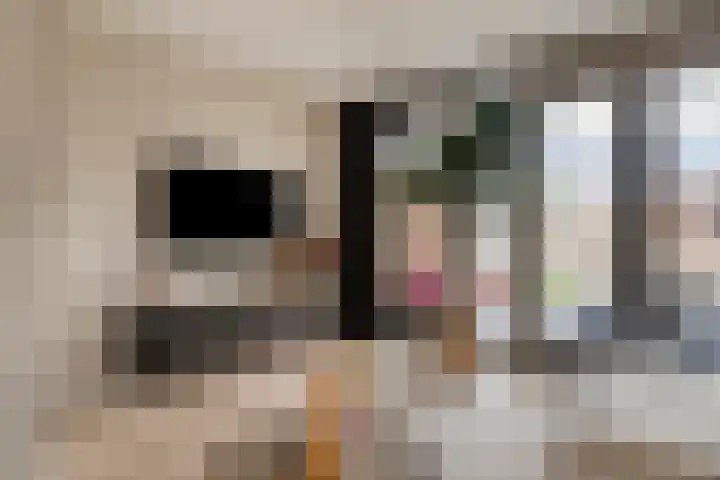Nachtegaal 27 Bladel thumbnail 5