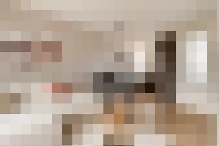Nachtegaal 27 Bladel thumbnail 7
