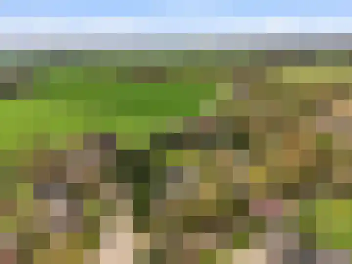 Nachtegaalstraat 44 Eefde thumbnail 6