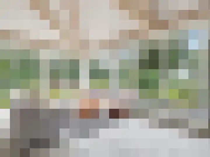 Nachtegaalstraat 44 Eefde thumbnail 8