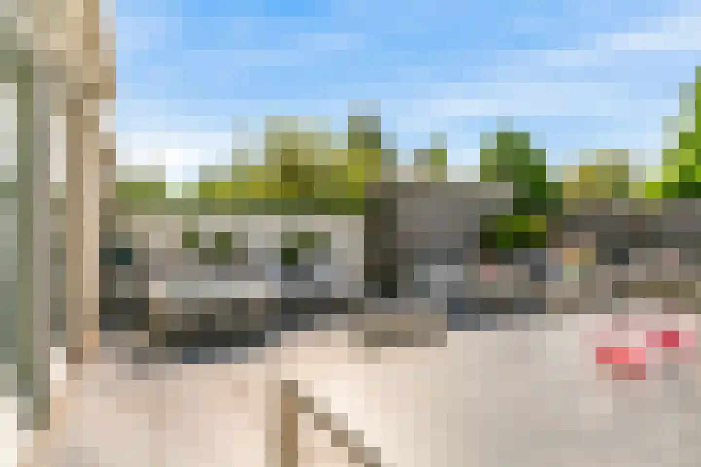 Nachtorchis 13 Limmen thumbnail 44