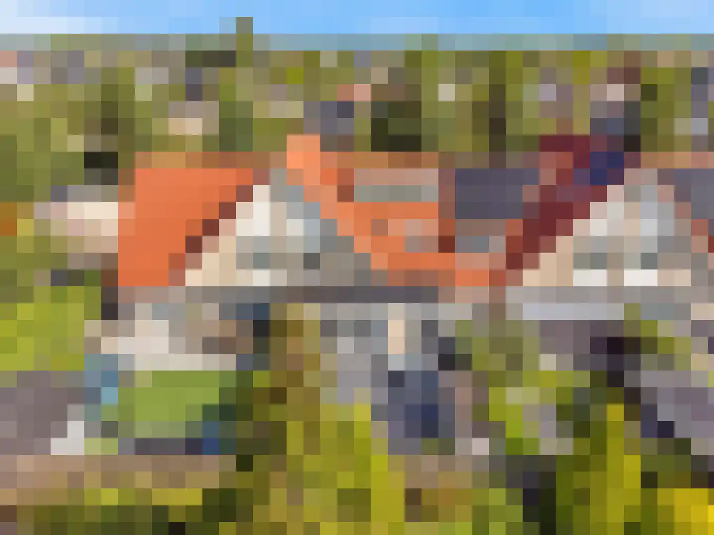 Nachtorchis 13 Limmen thumbnail 52
