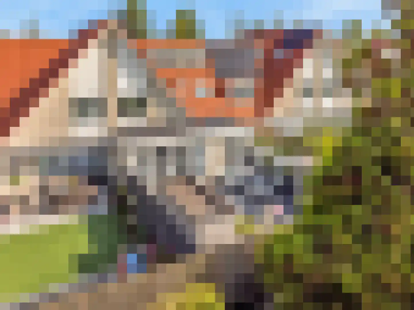 Nachtorchis 13 Limmen thumbnail 53
