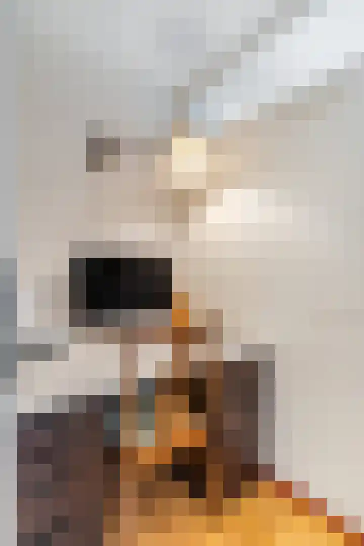 Nachtschade 94 Arnhem thumbnail 20