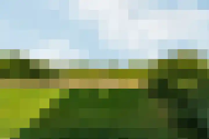 Nachtschade 94 Arnhem thumbnail 22
