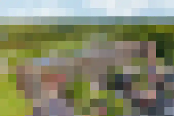 Nachtschade 94 Arnhem thumbnail 26