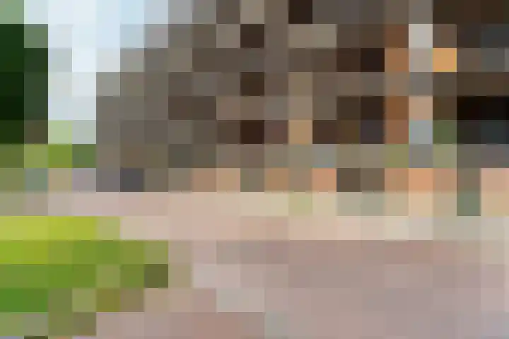 Nachtschade 94 Arnhem thumbnail 27