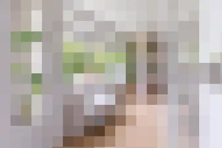 Nachtwachtlaan 252 Amsterdam thumbnail 11