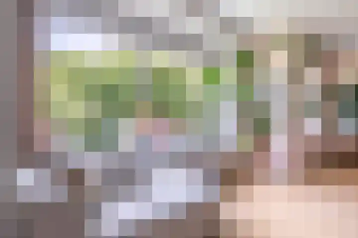 Nachtwachtlaan 252 Amsterdam thumbnail 12