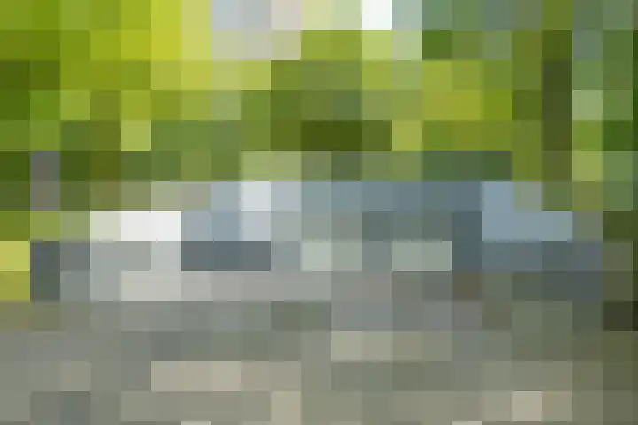 Nachtwachtlaan 252 Amsterdam thumbnail 32