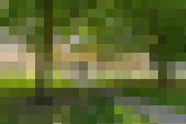 Nachtwachtlaan 252 Amsterdam thumbnail 35