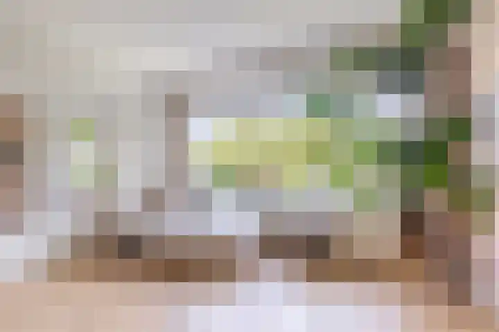 Nachtwachtlaan 252 Amsterdam thumbnail 7