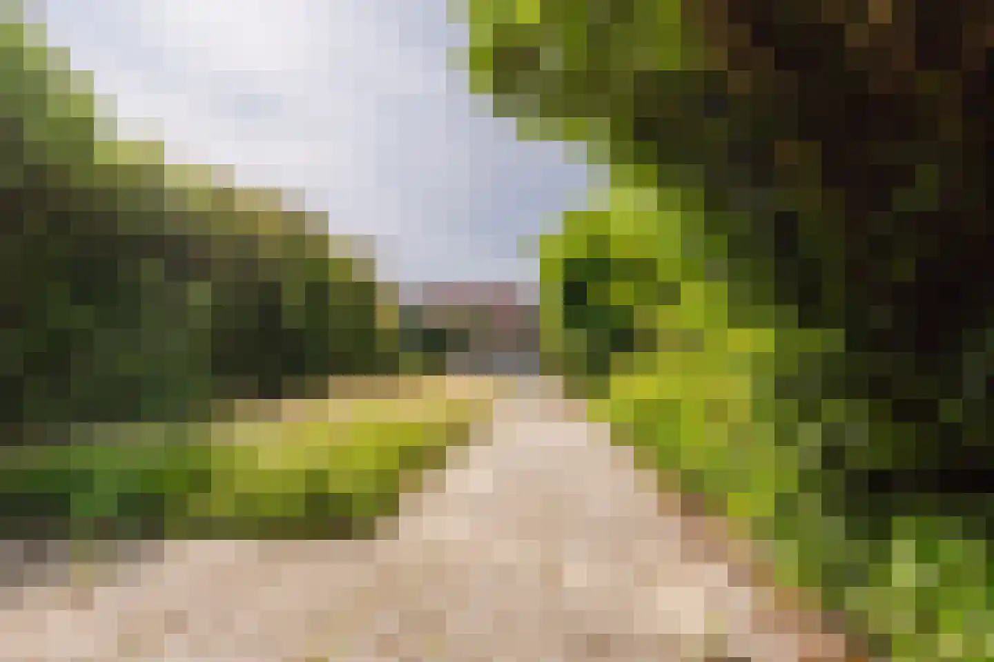 Nagelbeek 4 Schinnen thumbnail 10