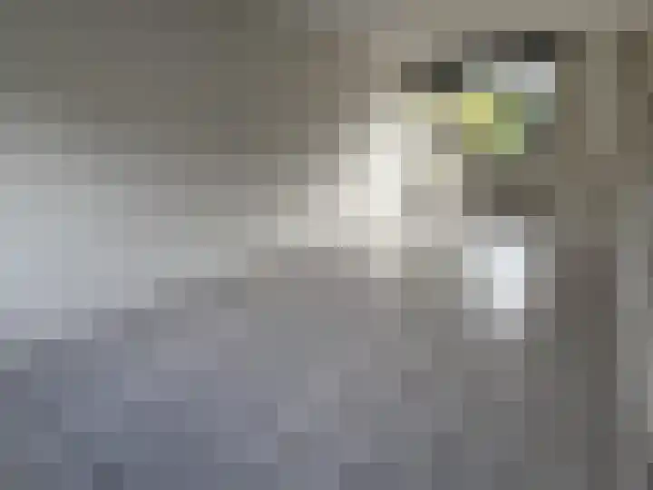 Namenstraat 58 Breda thumbnail 6
