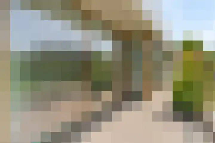 Nancy Zeelenbergsingel 86 Rotterdam thumbnail 14