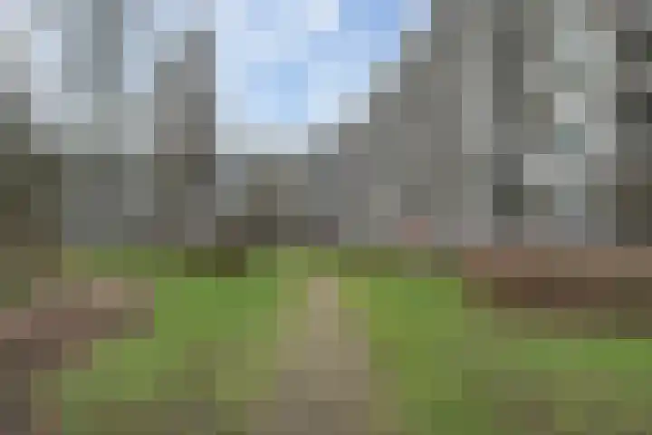 Nansenplaats 171 Rotterdam thumbnail 11