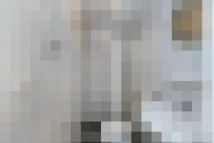 Nansenplaats 171 Rotterdam thumbnail 9
