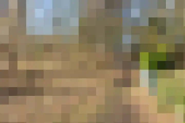 Nansenplaats 253 Rotterdam thumbnail 18