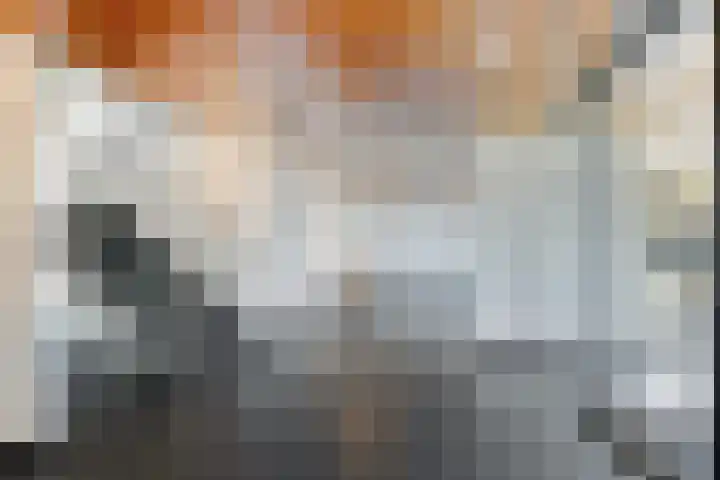 Nansenplaats 253 Rotterdam thumbnail 7