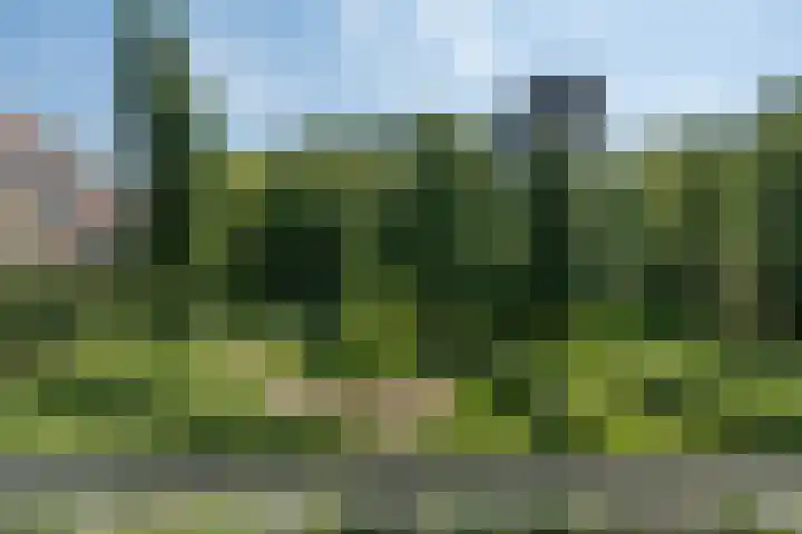 Nansenplaats 83 Rotterdam thumbnail 10