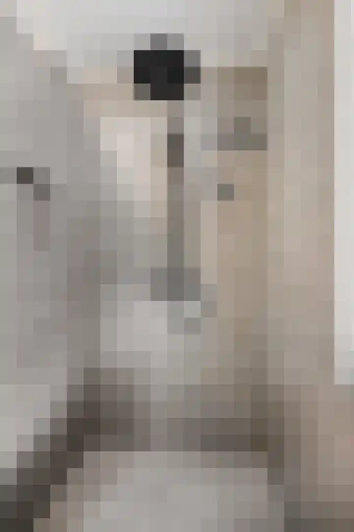 Nansenstate 20 Ede thumbnail 23