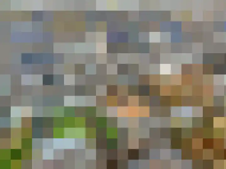 Nansenstate 20 Ede thumbnail 41