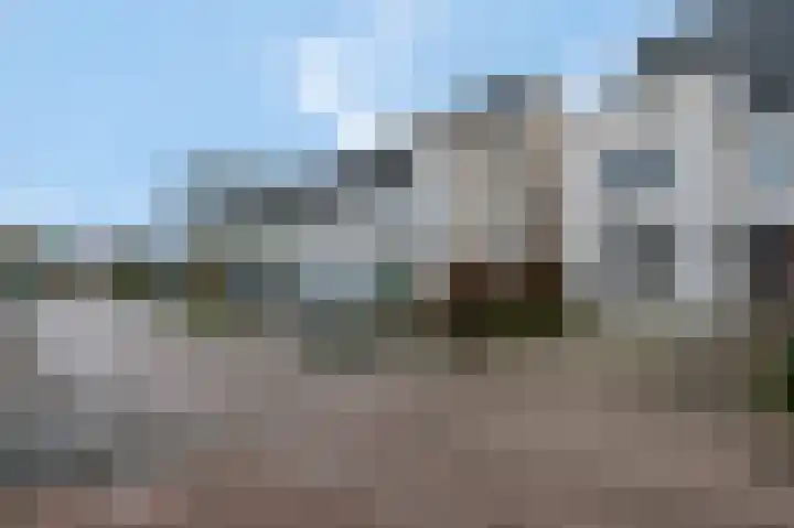Nansenstate 20 Ede thumbnail 44
