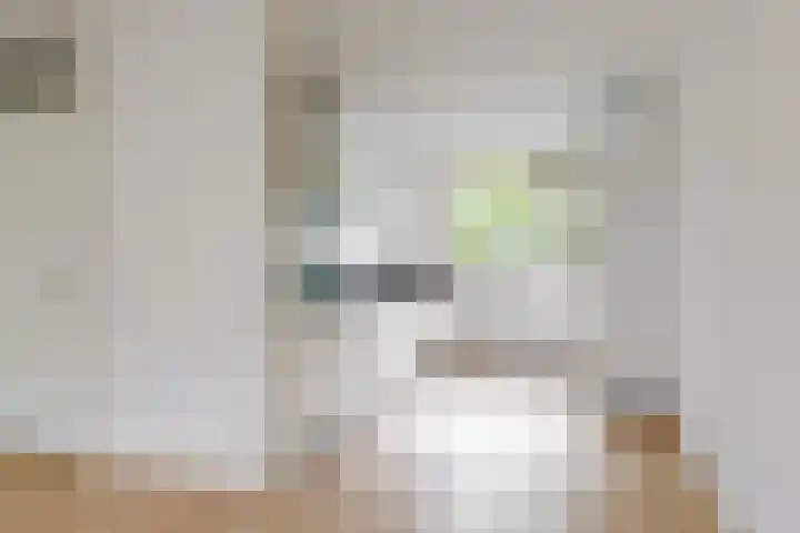 Naoberdreef 23 Assen thumbnail 15