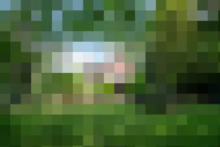 Napoleonsweg 1 Neer thumbnail 35