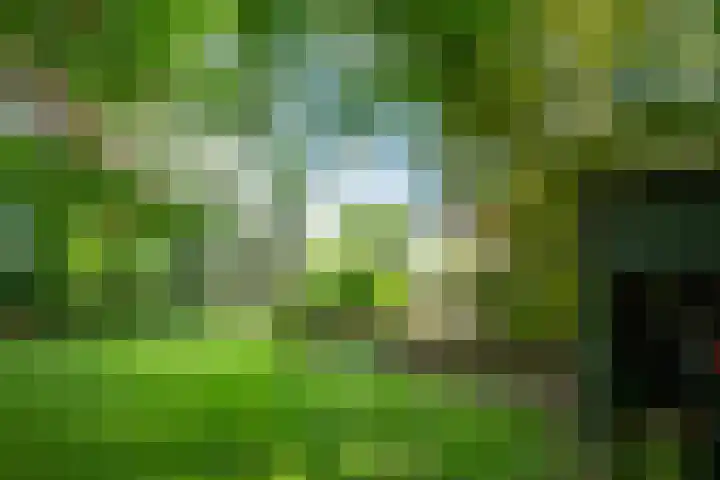 Napoleonsweg 1 Neer thumbnail 36