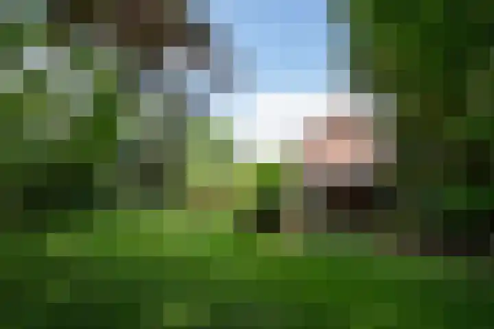 Napoleonsweg 1 Neer thumbnail 38