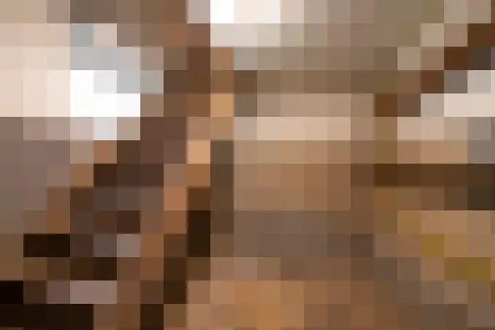 Napoleonsweg 1 Neer thumbnail 9