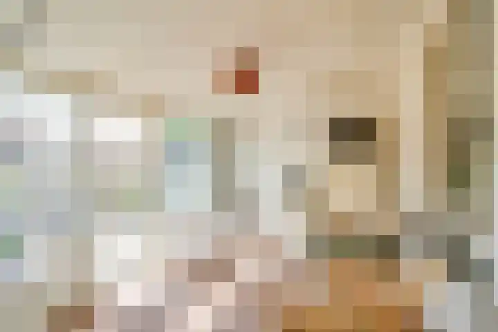 Napoleonsweg 17 Neer thumbnail 21
