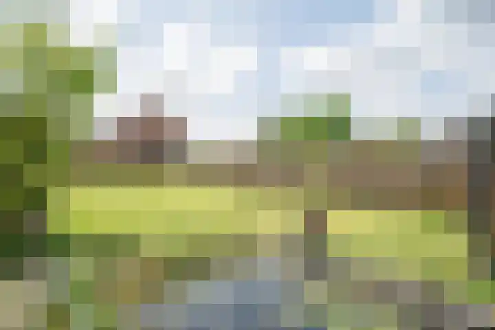 Napoleonsweg 17 Neer thumbnail 24