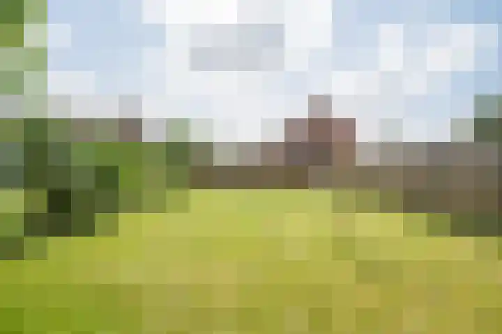 Napoleonsweg 17 Neer thumbnail 25